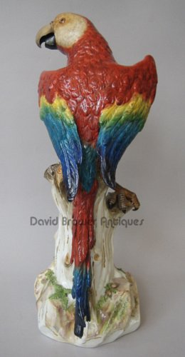 Magnificent Meissen Macaw