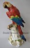 Magnificent Meissen Macaw